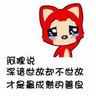 grand slot online Anak kucing Ragdoll dikejutkan oleh bahasa manusia yang dilontarkan oleh anak kucing Rusty Tabby